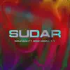 Brunog - Sudar (feat. Erik Doza & Tony Money & Young Miky T.Y.) - Single